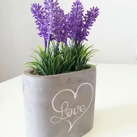 Appartement Amfora *