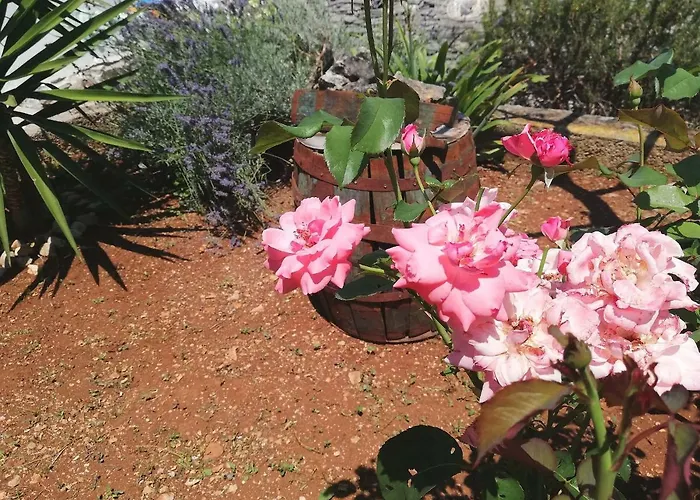شقة Amfora