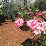Διαμέρισμα Amfora